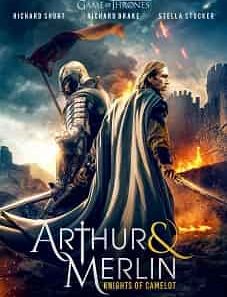 Arthur & Merlin Knights of Camelot 2020