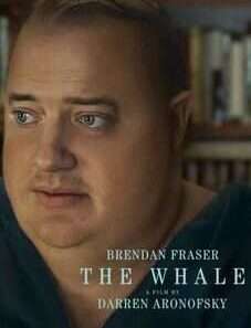 The Whale Lookmovie